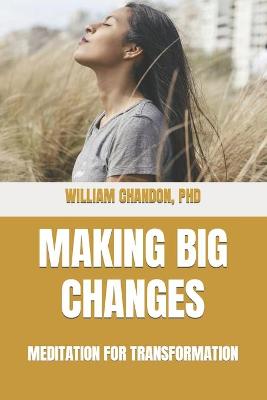 Book cover for Making Big Changes