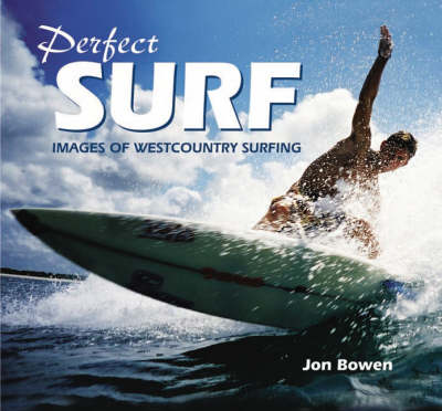 Book cover for Perfect Surf