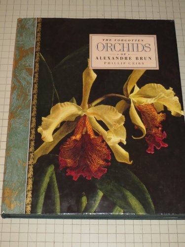Book cover for Forgotten Orchids O/P