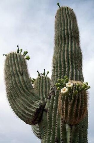 Cover of Flowering Saguaro Cactus in Arizona Journal