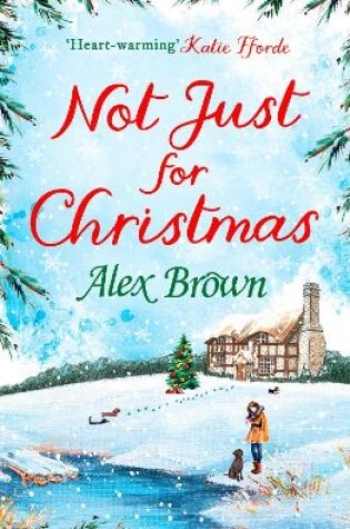 Cover of Not Just for Christmas