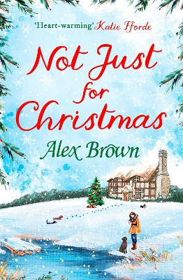 Book cover for Not Just for Christmas