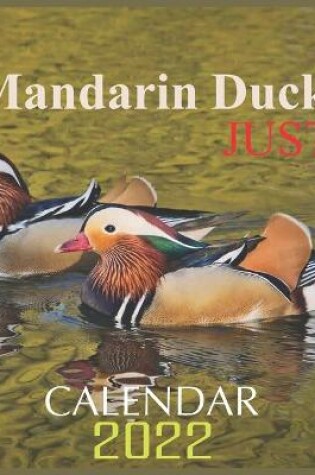 Cover of Just Mandarin Ducks Calendar 2022