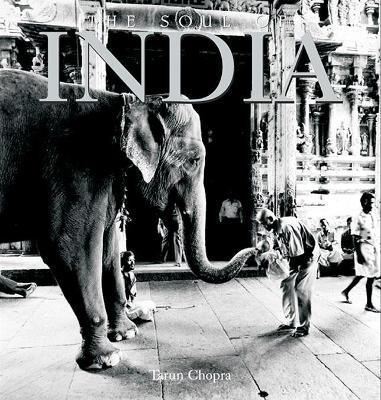 Book cover for The Soul of India