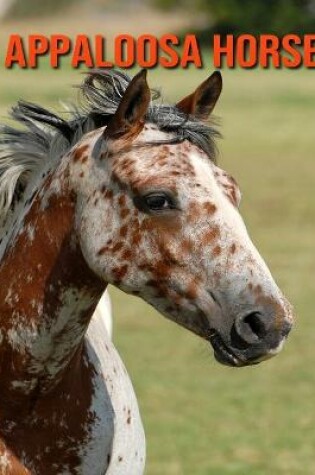 Cover of Appaloosa Horse