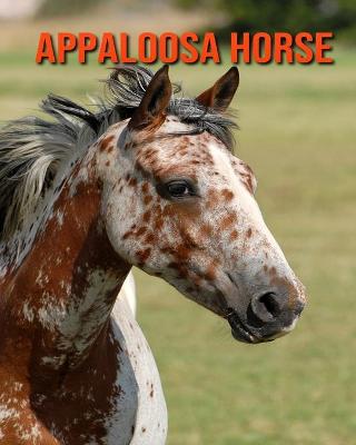 Book cover for Appaloosa Horse