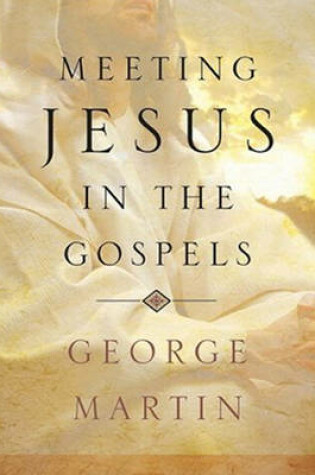 Cover of Meeting Jesus in the Gospels