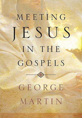 Book cover for Meeting Jesus in the Gospels