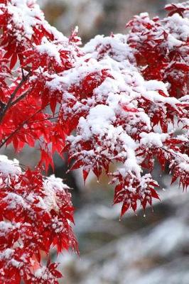 Book cover for Journal Japanese Maple Winter Snow