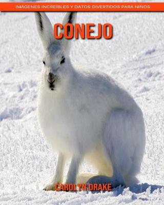 Book cover for Conejo