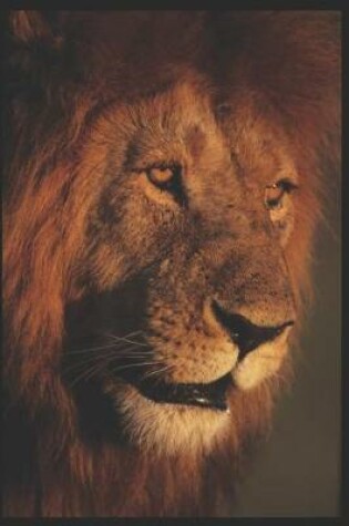 Cover of Lion - Daily Diary 2019