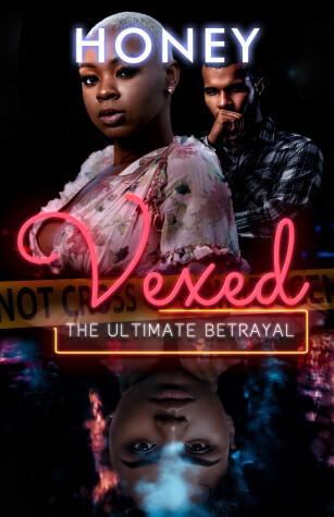 Book cover for Vexed