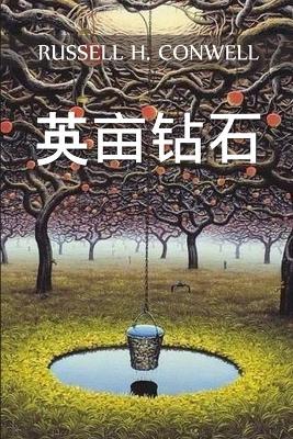 Book cover for 英亩钻石