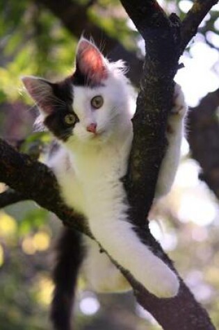 Cover of Cute Little Kitty Lounging in a Tree Journal