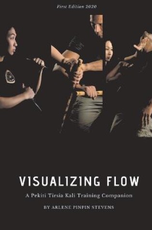 Cover of Visualizing Flow