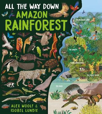 Cover of All The Way Down: Amazon Rainforest