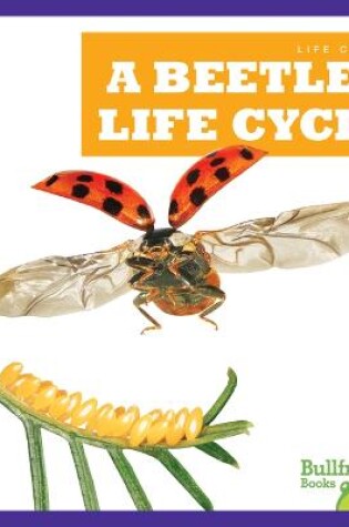 Cover of A Beetle's Life Cycle