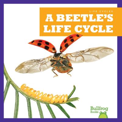 Cover of A Beetle's Life Cycle