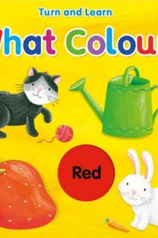Cover of What Colour?