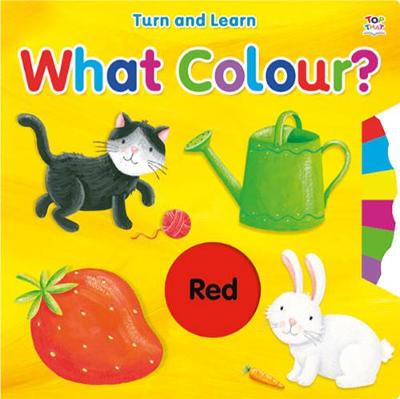 Book cover for What Colour?