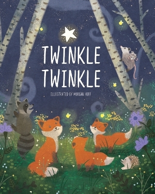 Book cover for Twinkle Twinkle