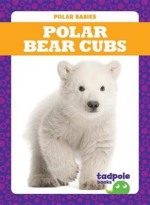 Book cover for Polar Bear Cubs