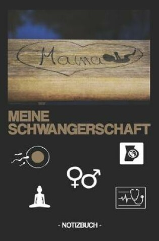 Cover of Meine Schwangerschaft