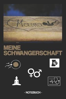 Book cover for Meine Schwangerschaft
