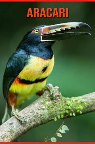 Cover of Aracari