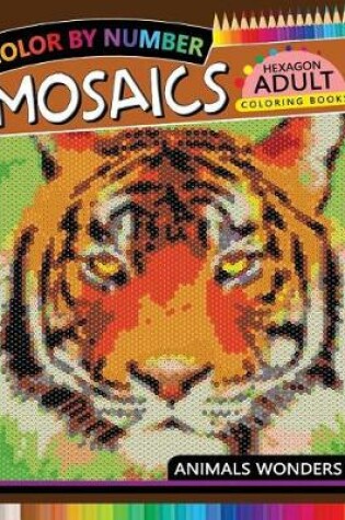 Cover of Mosaics Hexagon Coloring Book