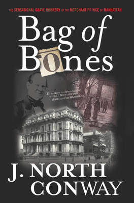 Book cover for Bag of Bones