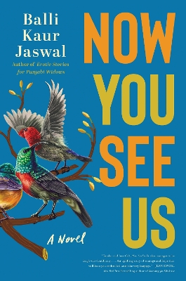 Book cover for Now You See Us