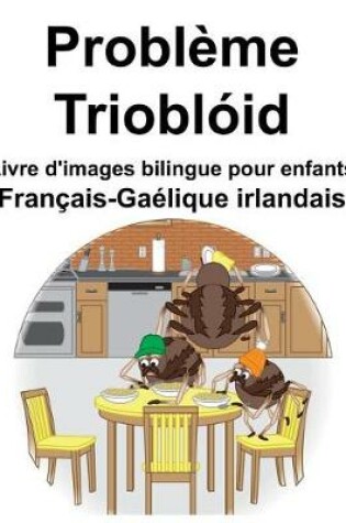 Cover of Français-Gaélique irlandais Problème/Trioblóid Livre d'images bilingue pour enfants