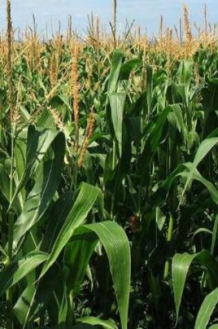 Cover of Corn Wheat Grain Grains Healthy Cob Farm Farmer Farming Cultivate Horticulture