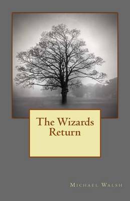 Book cover for The Wizards Return