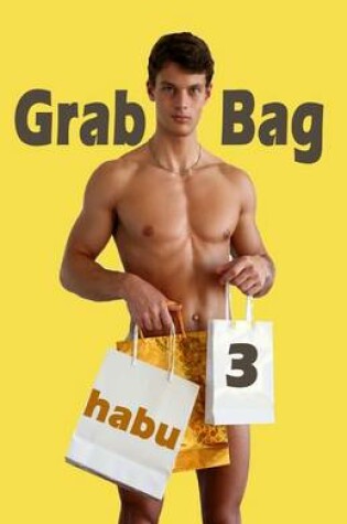 Cover of Grab Bag 3
