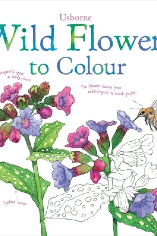 Cover of Wild Flowers to Colour