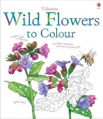 Book cover for Wild Flowers to Colour