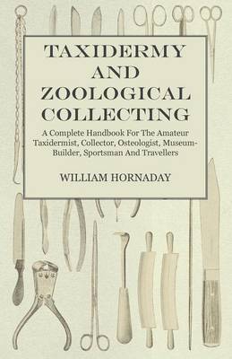 Book cover for Taxidermy and Zoological Collecting - A Complete Handbook for the Amateur Taxidermist. Collector, Osteologist, Museum-Builder, Sportsman, and Traveller - With Chapters on Collecting and Preserving Insects