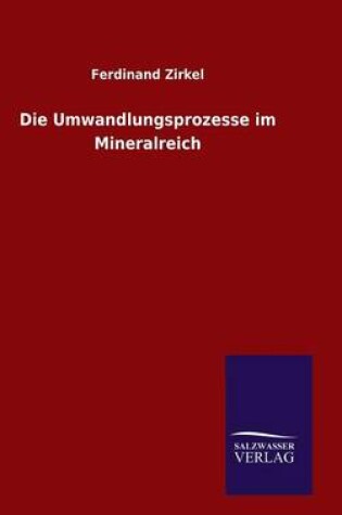 Cover of Die Umwandlungsprozesse im Mineralreich