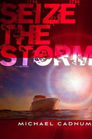 Cover of Seize the Storm
