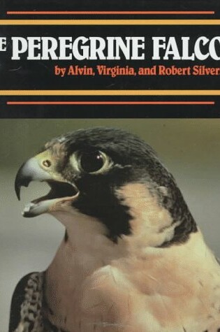 Cover of The Peregrine Falcon