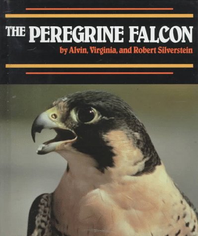 Book cover for The Peregrine Falcon