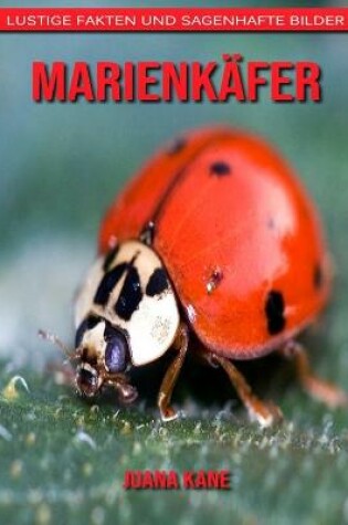 Cover of Marienkäfer