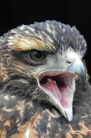 Cover of Harris Hawk Close Up Raptor Bird Journal