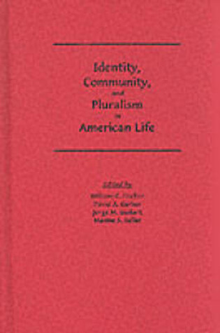 Cover of Identity, Community and Pluralism in American Life