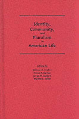 Book cover for Identity, Community and Pluralism in American Life