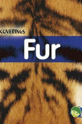 Cover of Fur