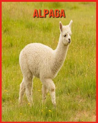 Book cover for Alpaga