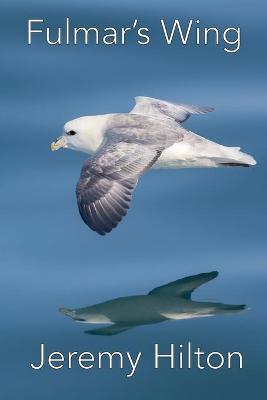 Book cover for Fulmar's Wing